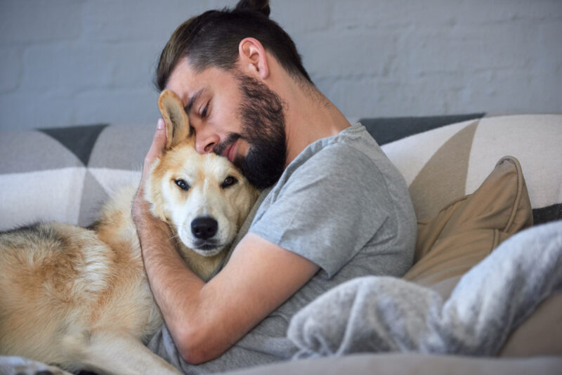air purification for pet dander